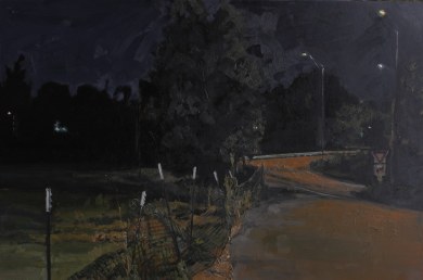 night scene by thomas van auken