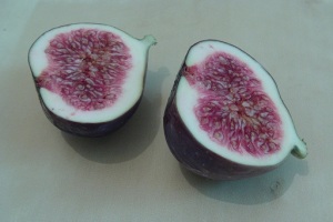 fig split